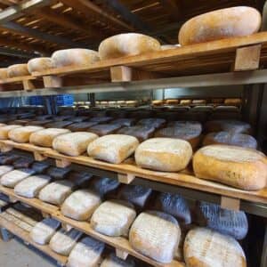 Essencia Caldereta 5