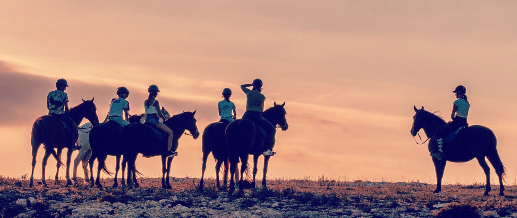 Ruta a cavall - Costa Sud