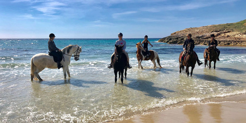 Ausritt - Südküste