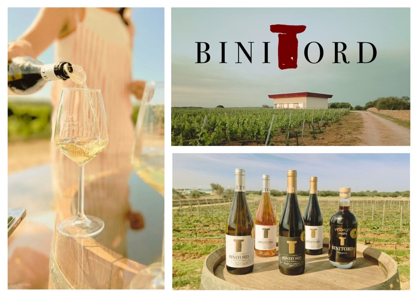 binitord-awaita-guia-turistica-menorca-0
