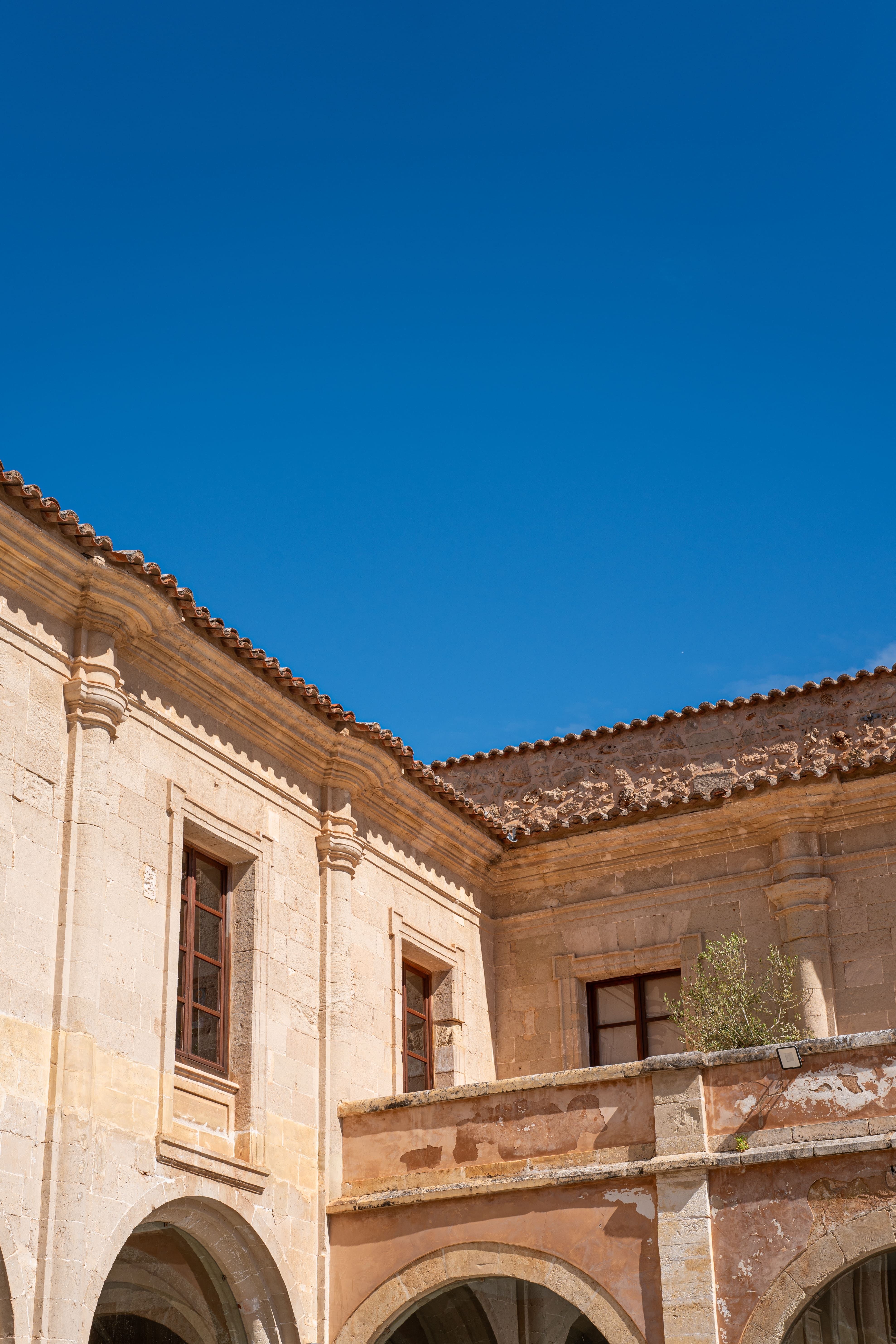 es-mercat-des-claustre-awaita-guia-turistica-menorca-6